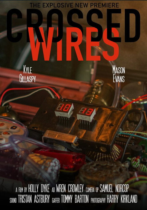 Movie poster for Crossed Wires (2025)