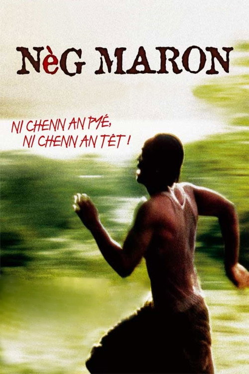 Movie poster for Nèg maron (2005)