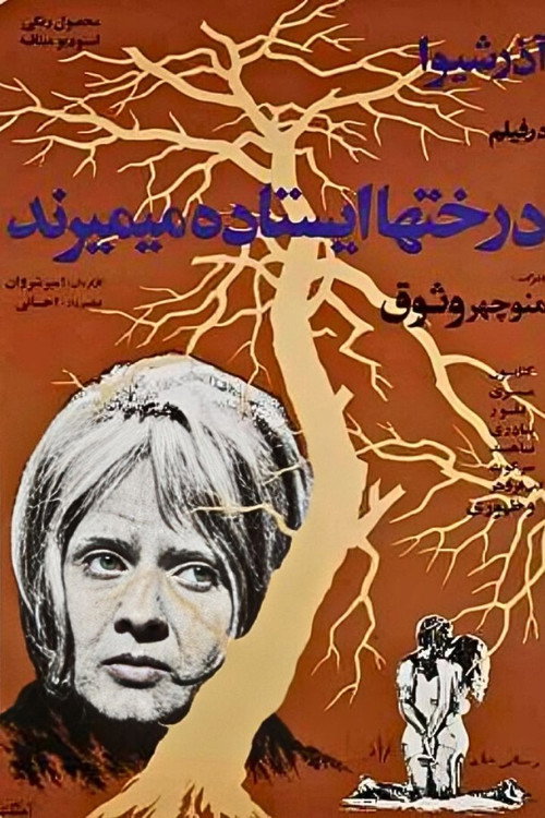 Movie poster for Trees Die Standing (1971)