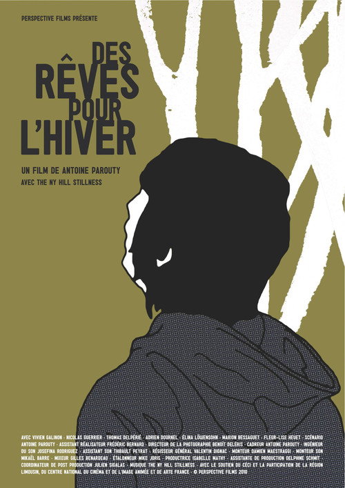 Movie poster for Des rêves pour l'hiver (2010)