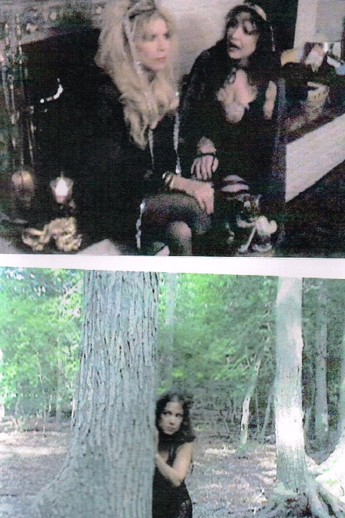 Movie poster for Little Witch II (2008)