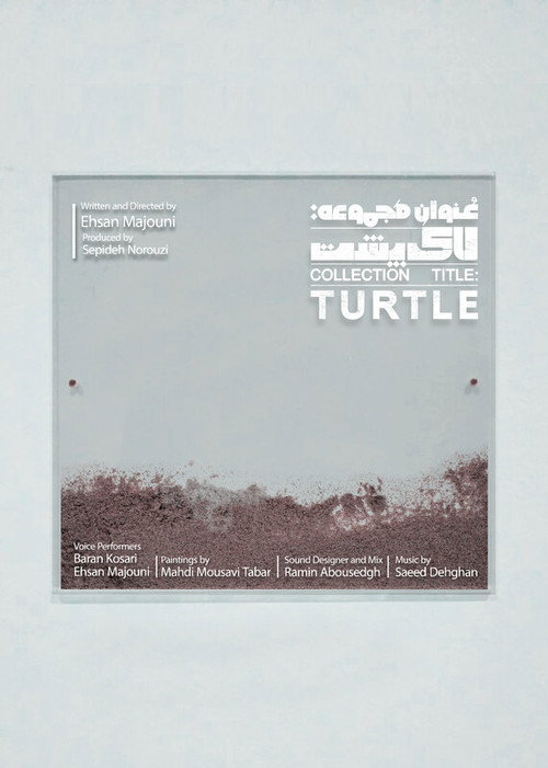 Movie poster for Collection Title: Turtle (2025)