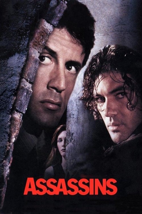 Movie poster for Assassins (1995)
