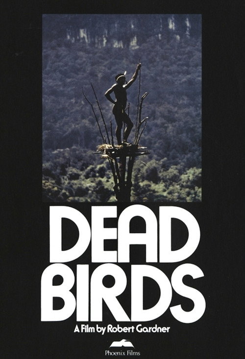 Movie poster for Dead Birds (1963)