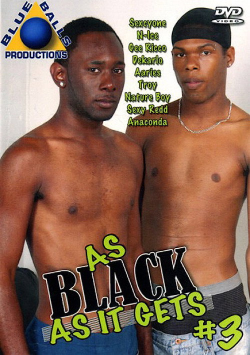 Movie poster for As Black as It Gets 3 (2006)