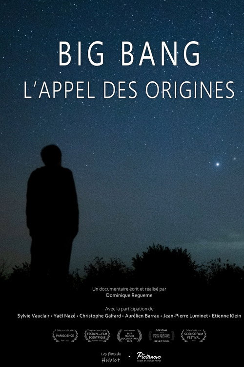 Movie poster for Big bang, l'appel des origines (2022)