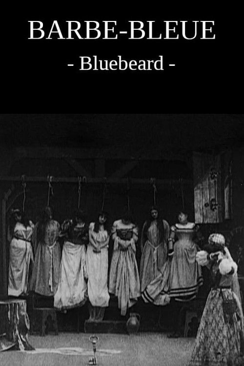 Movie poster for Bluebeard (1901)
