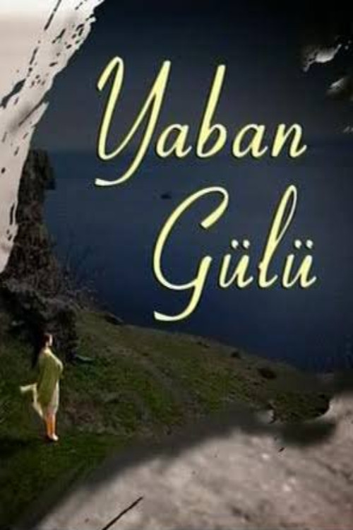 Yaban Gülü poster
