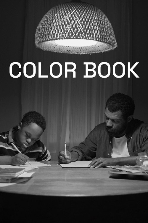 Movie poster for Color Book (2024)