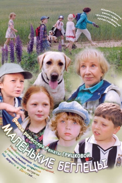 Movie poster for Little Runaways (2004)