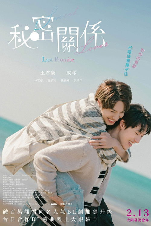 Movie poster for Secret Lover: The Last Promise (2025)