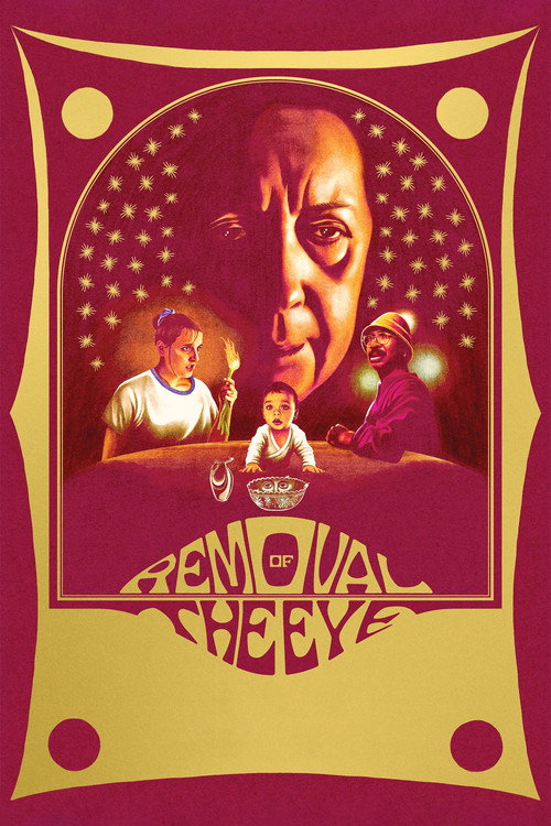 Movie poster for Removal of the Eye (2024)