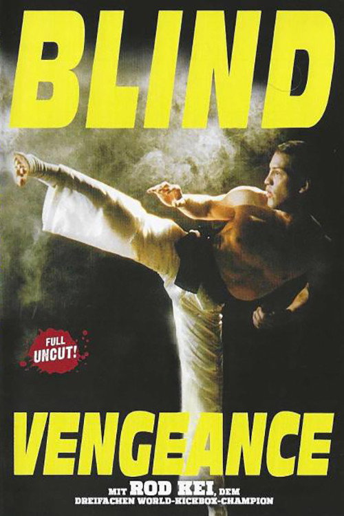 Movie poster for Blind Vengeance (1994)