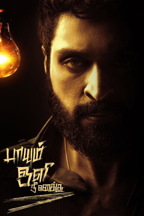 Movie poster for Paayum Oli Nee Yenakku (2023)