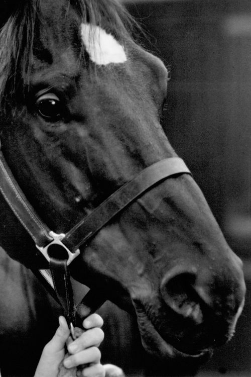 Docs Keepin Time profile