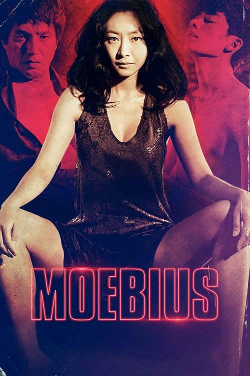 Movie poster for Moebius (2013)