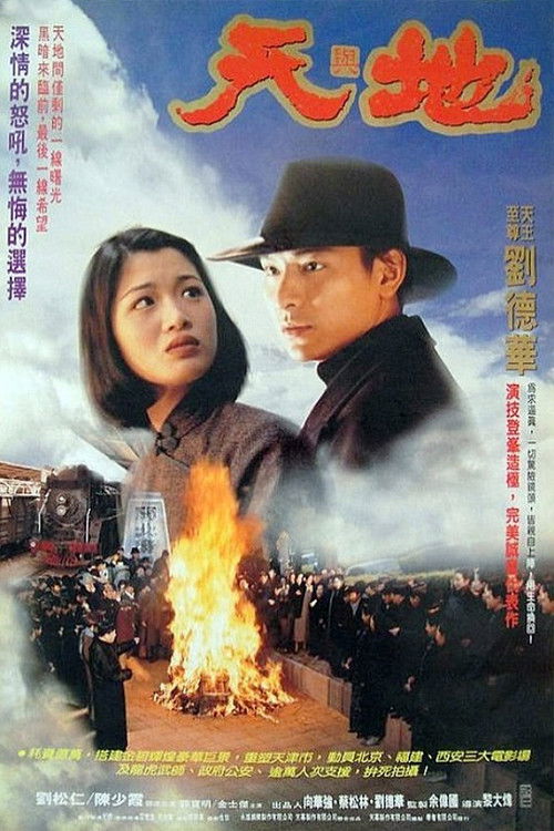 Movie poster for Heaven and Earth (1994)
