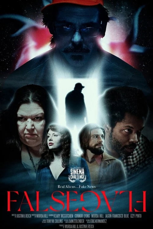 Movie poster for False Flag (2024)