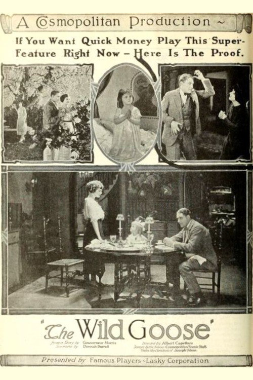 Movie poster for The Wild Goose (1921)