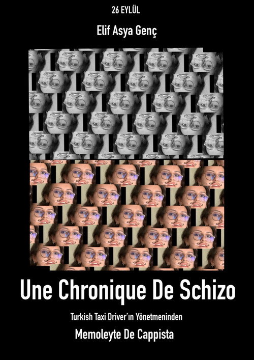 Movie poster for Chronic of Schizo