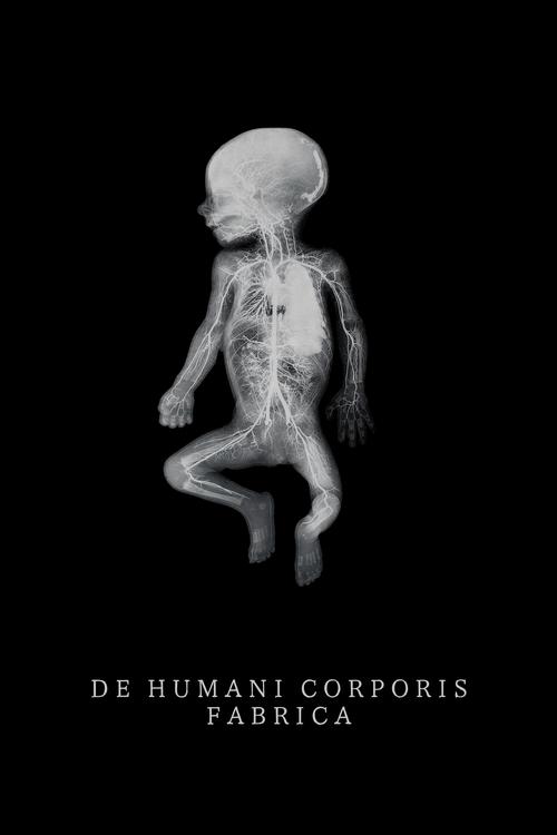 Movie poster for De Humani Corporis Fabrica (2023)