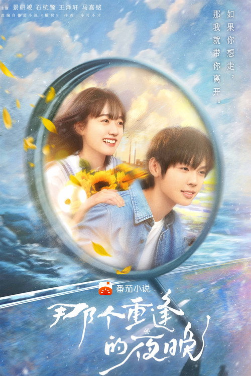 We Shall Meet Again poster