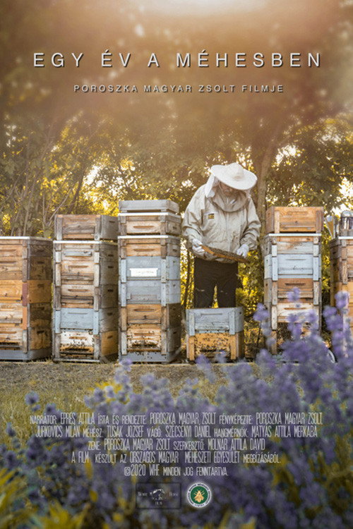 Movie poster for Egy év a méhesben (2020)
