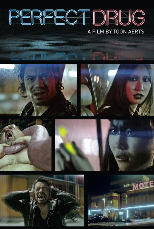 Movie poster for Perfect Drug (2012)
