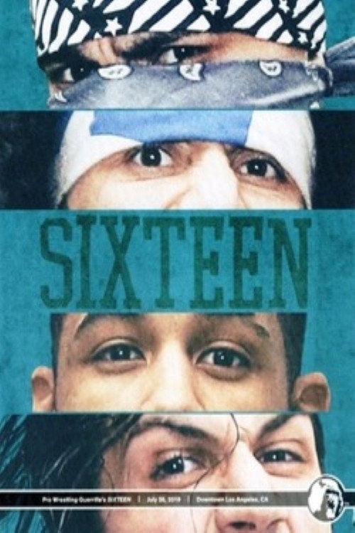 Movie poster for PWG: SIXTEEN (2019)