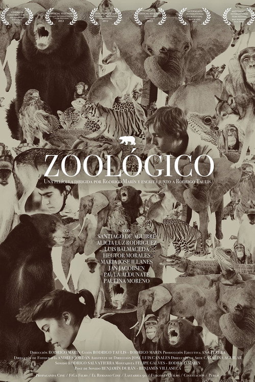Movie poster for Zoológico (2013)
