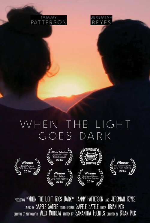 Movie poster for When the Light Goes Dark (2016)
