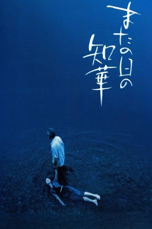 Movie poster for The Many Faces of Chika (2005)