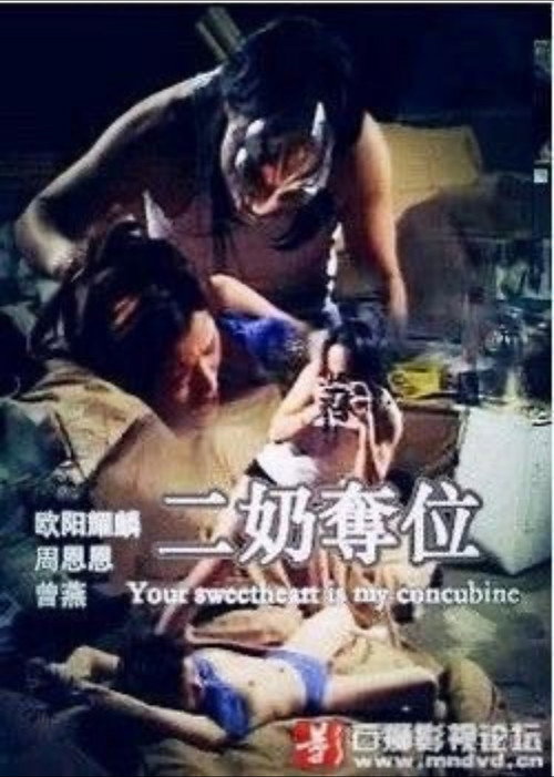 Movie poster for 二奶奪位 (1999)