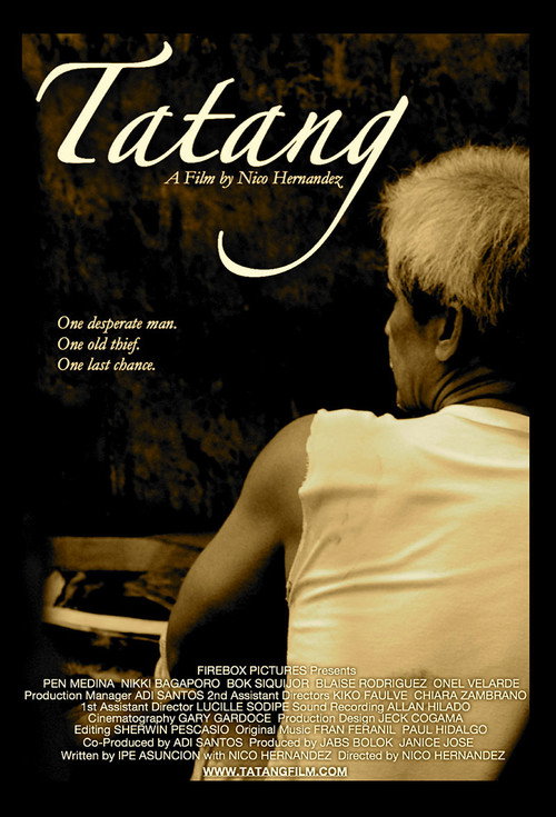Movie poster for Tatang (2009)