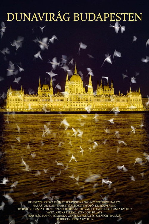 Movie poster for Dunavirág Budapesten