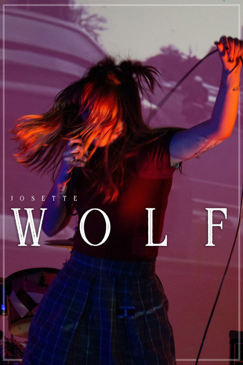 Movie poster for Wolf
