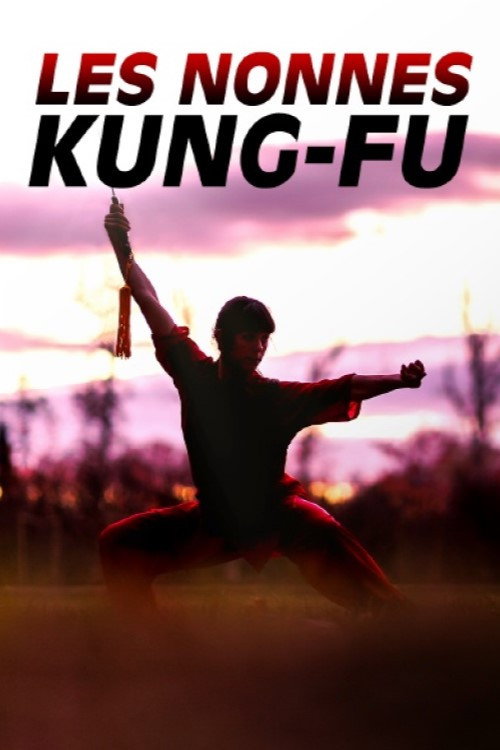 Movie poster for Les nonnes kung-fu : bouddhistes et féministes (2023)
