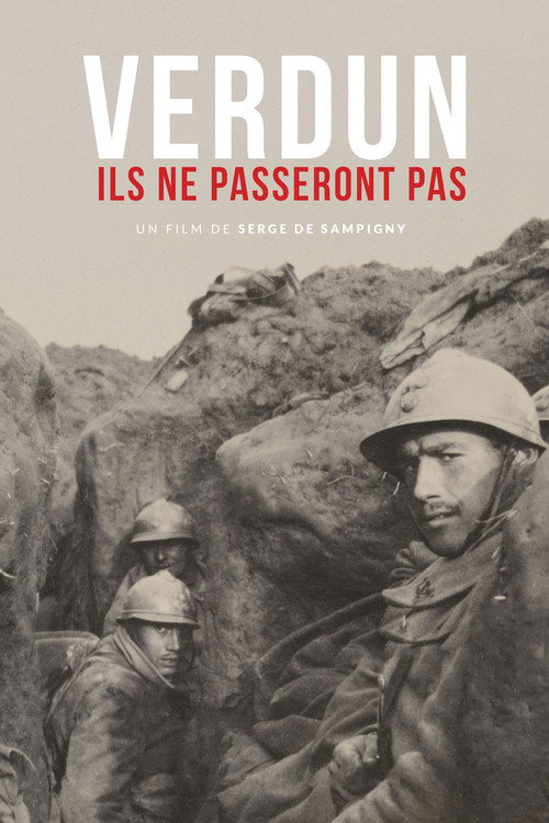 Movie poster for Verdun - They will not pass! (2016)