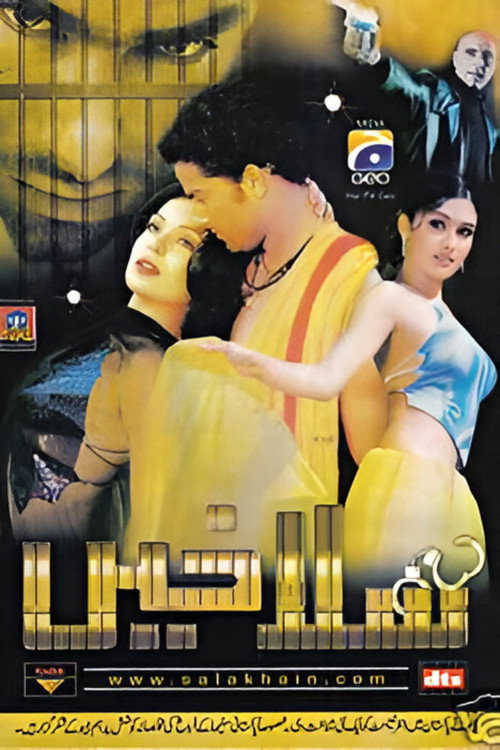 Movie poster for Salakhain (2004)