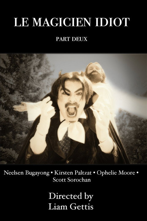 Movie poster for Le Magicien Idiot Part Deux (2025)