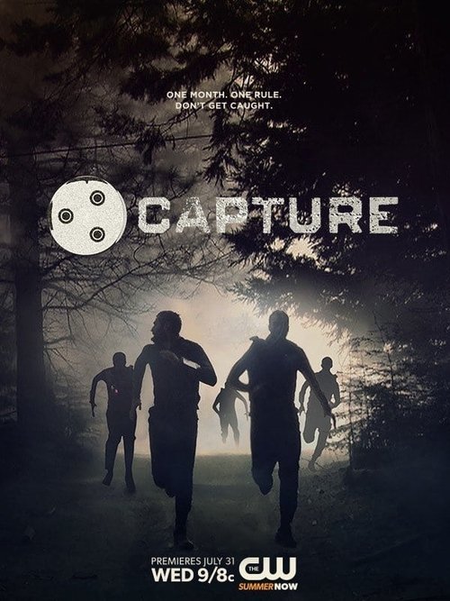 Series poster for Capture (2013)