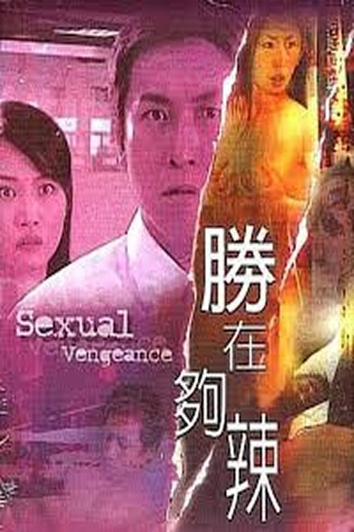 Movie poster for Sexual Vengeance (2003)