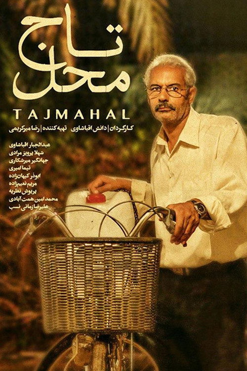 Movie poster for Taj Mahal (2013)