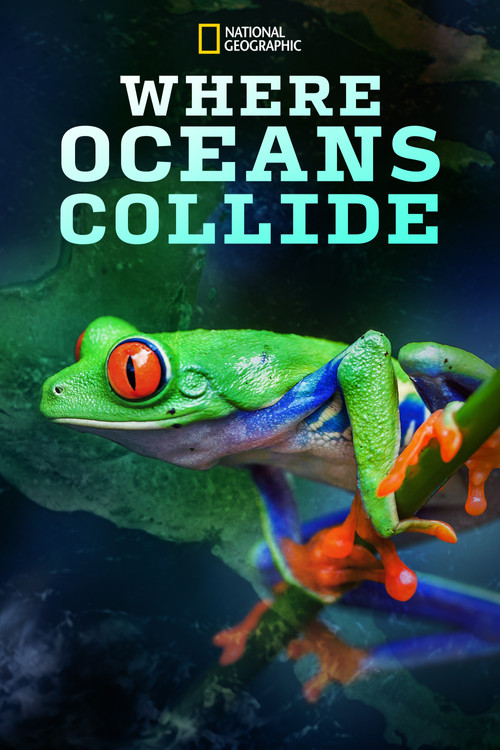 Movie poster for Where Oceans Collide (2018)