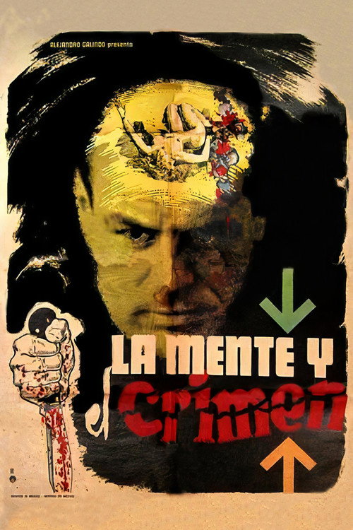 Movie poster for The Mind and the Crime (1963)