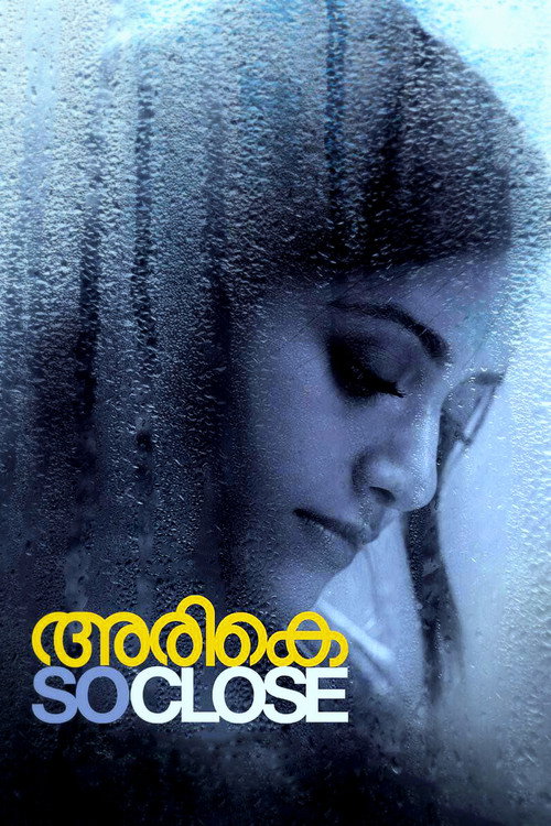 Movie poster for Arike (2012)