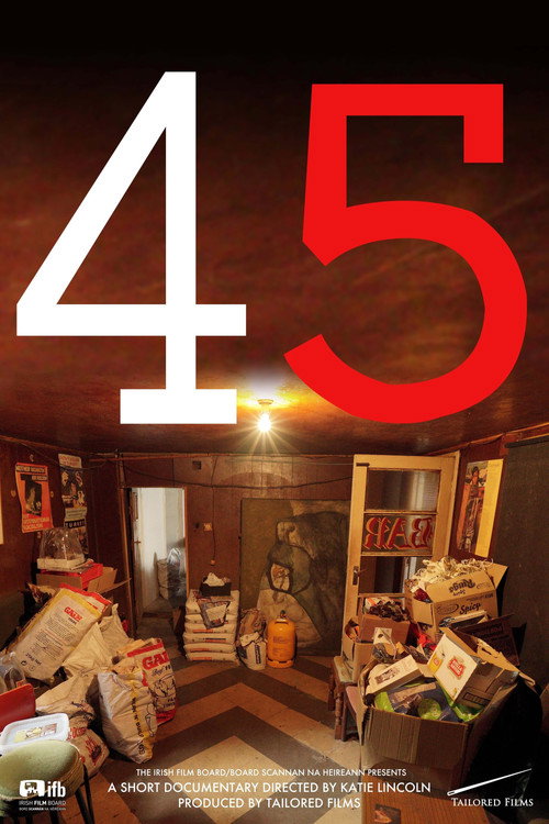 Movie poster for 45 (2015)