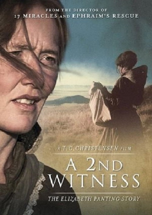 Movie poster for A 2nd Witness (2014)