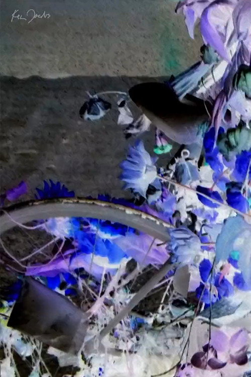 Movie poster for Flowers and Bike (2020)