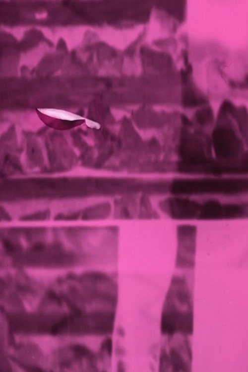 Movie poster for Frequency Objects (2017)